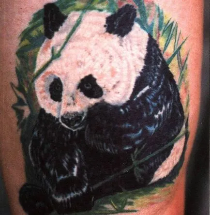 tatuaje Semnificație urs