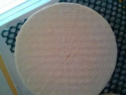 Recept brie sajt, sajt recept, sajt ház ad otthont sajtgyártás