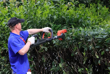 Gardener - valoare de referință meu