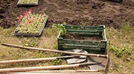 Gardener - valoare de referință meu