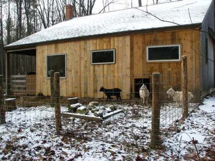 Barn pentru capre cu propriile sale mâini cum a face cereri, fotografii