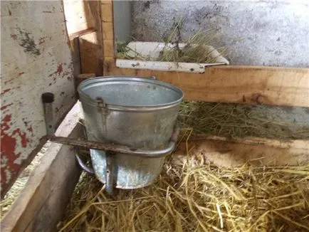 Barn pentru capre cu propriile sale mâini cum a face cereri, fotografii