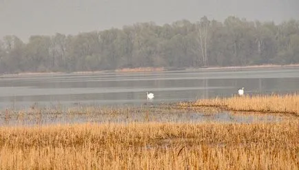 Kék kő szokatlan helyeken Tambov - Tambov új