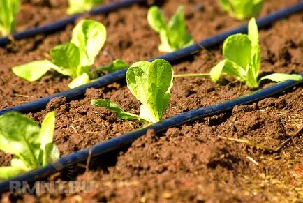 Sisteme de irigare prin picurare, cu propriile lor mâini