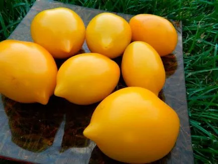 Списък на най-добрите сортове домати, dachasadovnika