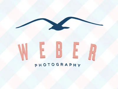 50 exemple excelente de fotografi logo-uri, primul blog de web design