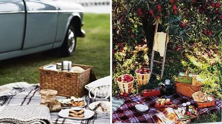 20 Idei pentru picnic