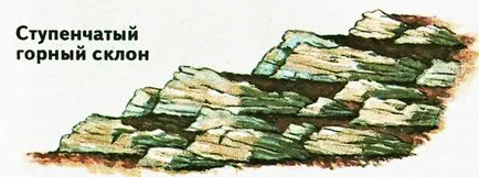 Construcția gradina de rock, tipuri gradina de rock, regulile de plasare și de pregătire a site-ului, piling pietre