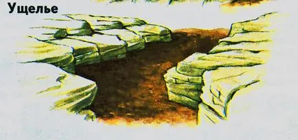 Construcția gradina de rock, tipuri gradina de rock, regulile de plasare și de pregătire a site-ului, piling pietre