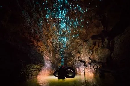 Светещи червеи в Waitomo Пещери (Waitomo пещери), Нова Зеландия