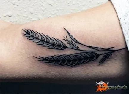 Tattoo búzakalász érték és fotó