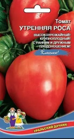 Домат утринна роса обратна връзка на който насади, снимка доматен dachasadovoda