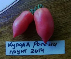 Tomate - cupola descriere România a soiului, recomandări pentru cultivarea tomatelor gustoase
