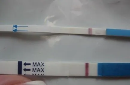 Fotografie: test de sarcină pentru a determina modul de determinare a sarcinii