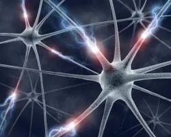Tanulási megérteni epilepszia - orvosi portál „”