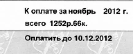 Да се ​​научим да прочетете разписки комунални услуги - Общество - Вечерни Петербург