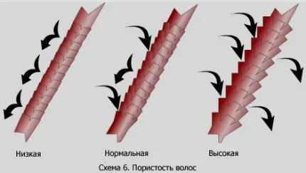 Поддържане и възстановяване на пореста коса