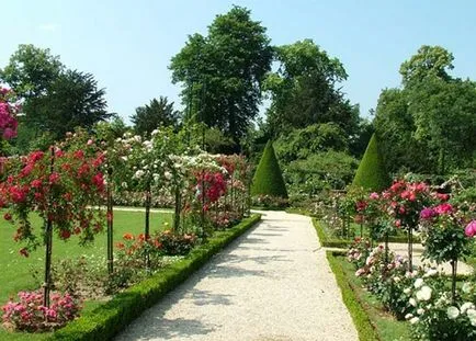 opțiuni de cazare trandafiri în grădină (flowerbeds flowerbeds foto), I și Peisagistică