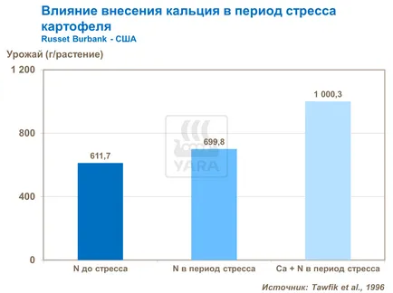 Увеличаването на размера на картофените клубени, Yara