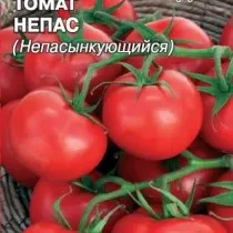 Ние растем домати в кутии-хребети