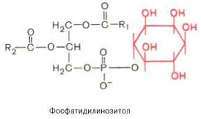 въпрос 35