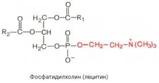 въпрос 35