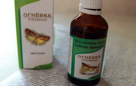 Пеперудата на восък (пчелен молец), използвани в народната медицина