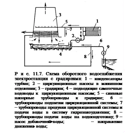 Grady - rnya