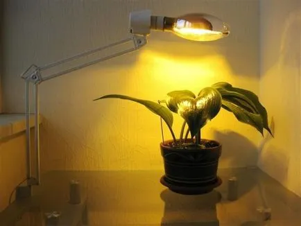 lumina artificiala pentru plante de interior, cu propriile lor mâini