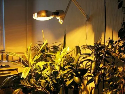 lumina artificiala pentru plante de interior, cu propriile lor mâini