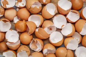 Hogyan kell kezelni dermatitis tojáshéj (receptek)