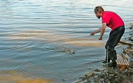 Hogyan lehet elkapni rákok szokásaikat és módjait halászati