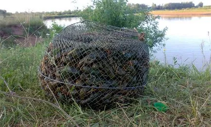 Hogyan lehet elkapni rákok szokásaikat és módjait halászati