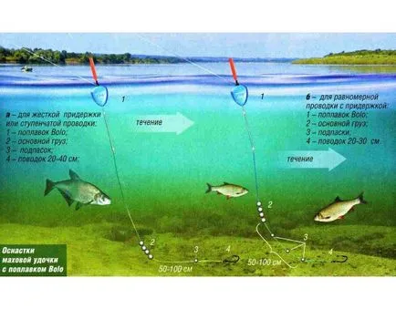 Hogyan, hogy a halakat egy 10 méteres mélységig (halászat pergetett)