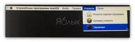 Ca cameră FaceTime disable (iSight) privind metoda macbook și imac 2 (fără bandă), știri de mere