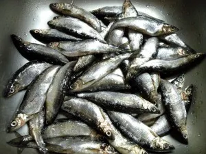 Cum de a găti vendace