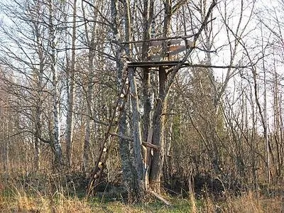 Cum de a construi un depozit vărsat pe un copac