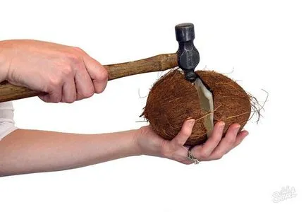 Как да се раздели на кокосови тайни, занимаващи се с екзотичен гайка