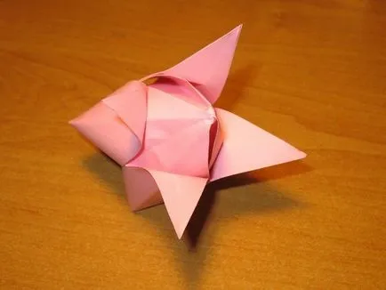 Cum de a face origami lalea cu mâinile lor, o clasă de master