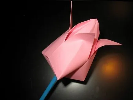 Hogyan készítsünk origami tulipán a kezüket, a master class