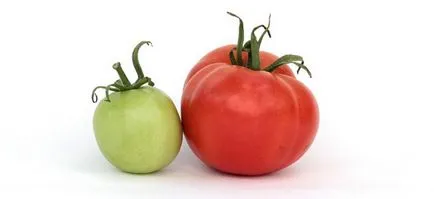 Cum să se înmoaie semințe înainte de plantare tomate, cabana
