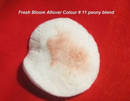 fard de obraz compact floare proaspătă de culoare allover (№ 11 nou amestec bujor) din Clinique - comentarii, fotografii și