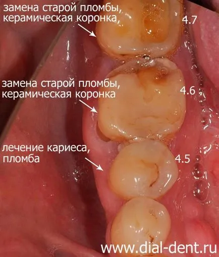 Stomatologie integrată