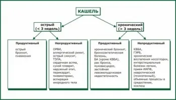 Кашлица лечение народни средства колко бързо лекува кашлица народната медицина у нас