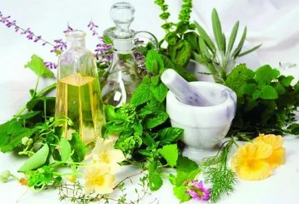 Plante medicinale pentru pisici și alte animale, lista plantelor medicinale și benefice acestora