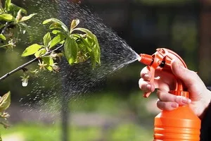 A fogantyú a kerti cserjék kártevők és betegségek, a kezelés a gyümölcsfák