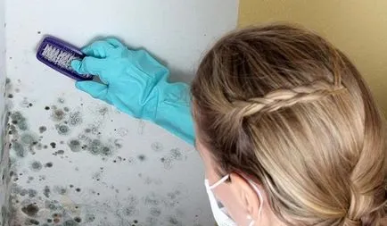 Черно мухъл в дома, отколкото опасен потенциал заболяването