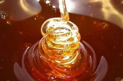 Мед млечка полезни свойства и качества