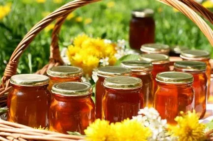 Honey spurge proprietăți utile și contraindicații