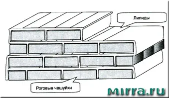 machiaj mineral - fundație, structura și componentele minerale machiaj, Mirra